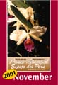 Revista Espejo del Per�, Noviembre 2001