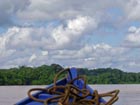 Auf dem Fluss Tambopata