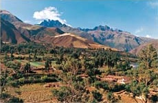 Urubambatal