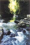 Pampa Hermosa, catarata Puente Ch�vez