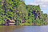 Cocococha, Tambopata