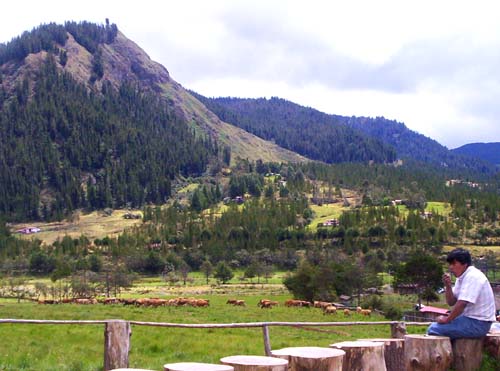 Landschaft am Eingang zur Granja Porcón mit den typischen Kiefernwäldern