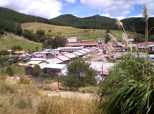 Die Granja Porcón – im Hintergrund die für das Dorf typischen Kieferwälder