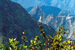 Vom Salkantay nach Machu Picchu