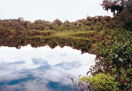 See im Sektor San Daniel im Nationalpark Yanachaga-Chemillen